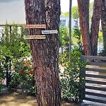 Sanpietro Relax * Durres